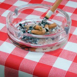 Supporting image for Nigel